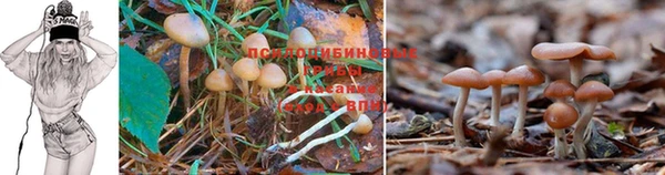 дистиллят марихуана Красноперекопск