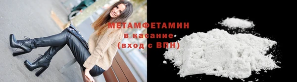 прущие грибы Краснотурьинск