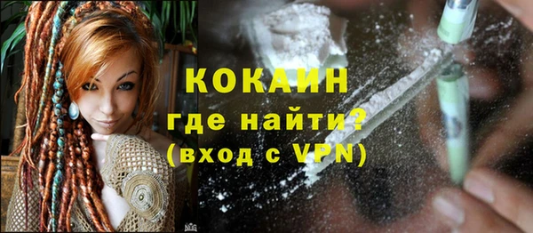 прущие грибы Краснотурьинск