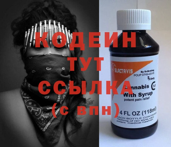 прущие грибы Краснотурьинск