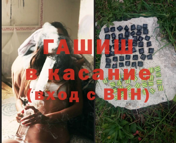 прущие грибы Краснотурьинск