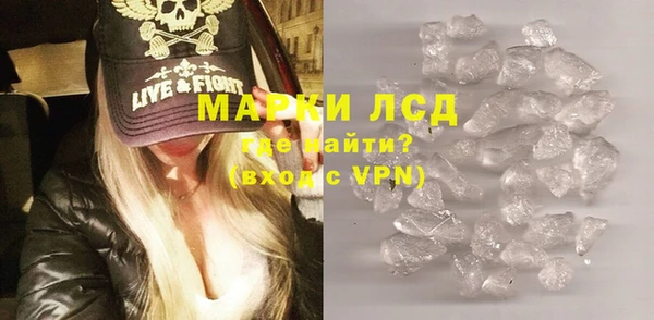прущие грибы Краснотурьинск