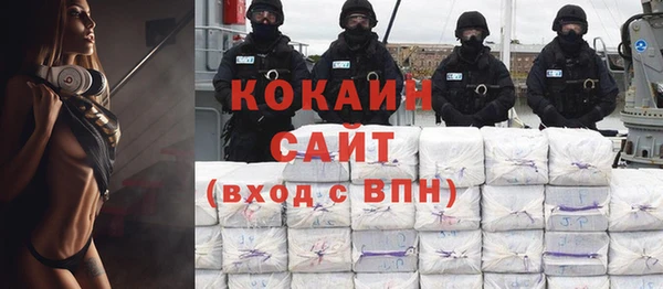 прущие грибы Краснотурьинск