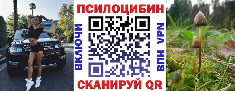 Псилоцибиновые грибы Magic Shrooms  Купить закладки  Фёдоровский 