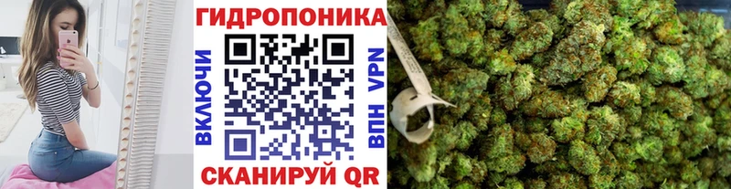 Купить где  Фёдоровский  Бошки марихуана индика 